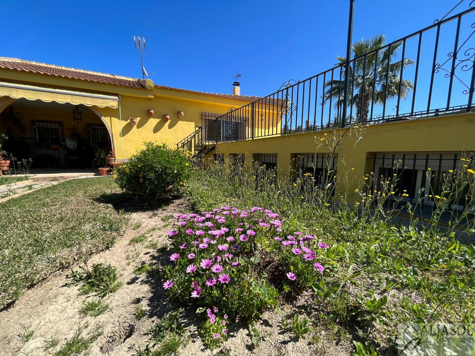 For sale of house in Bollullos de la Mitación