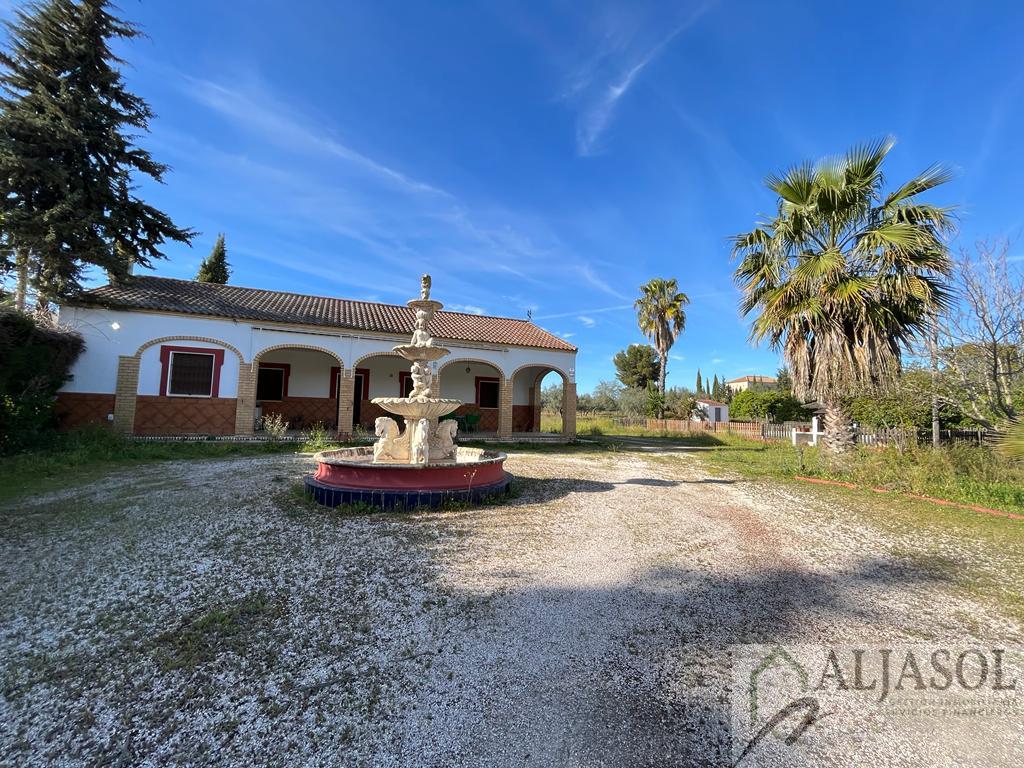 For sale of rural property in Bollullos de la Mitación