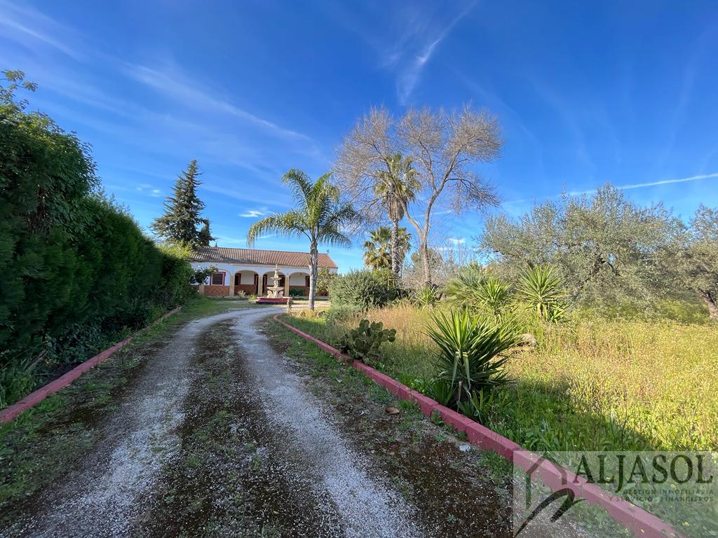 For sale of rural property in Bollullos de la Mitación