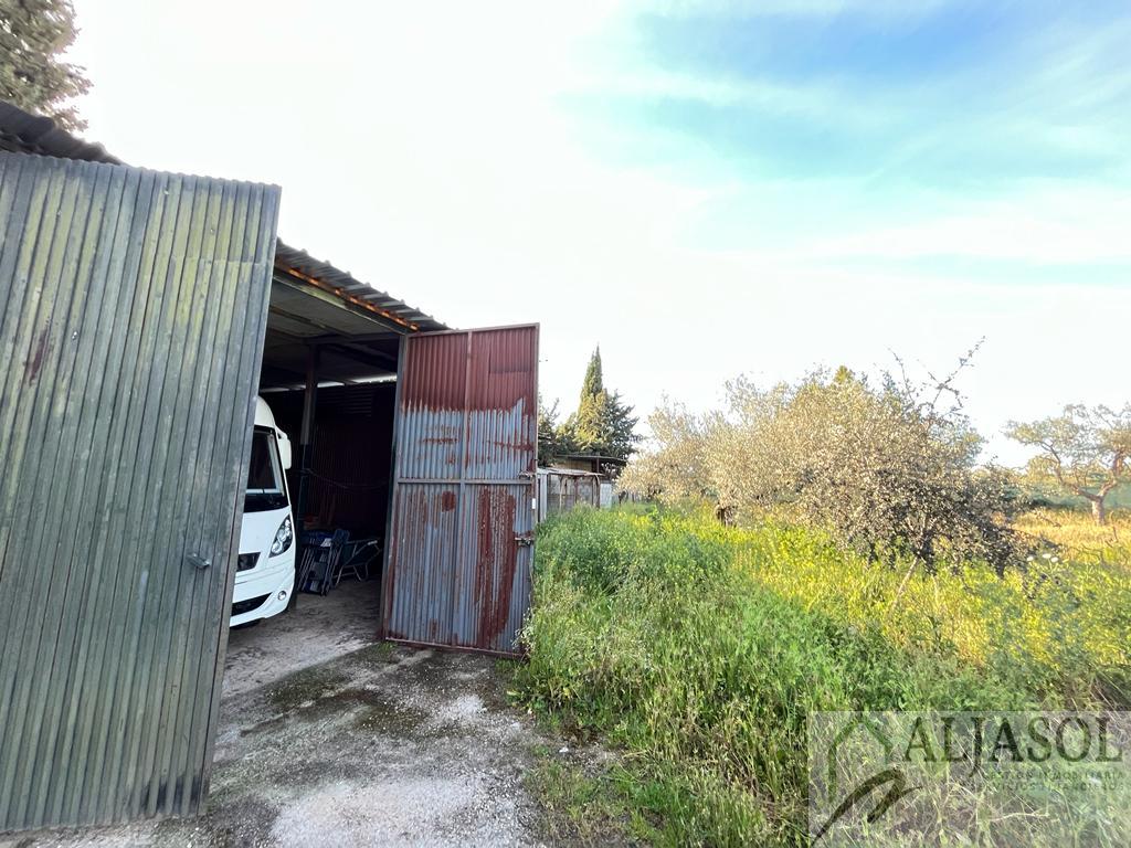 For sale of rural property in Bollullos de la Mitación