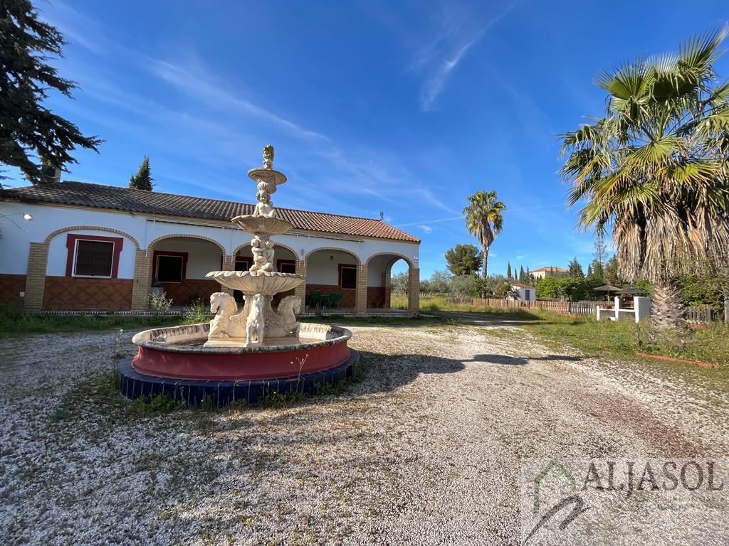 For sale of rural property in Bollullos de la Mitación