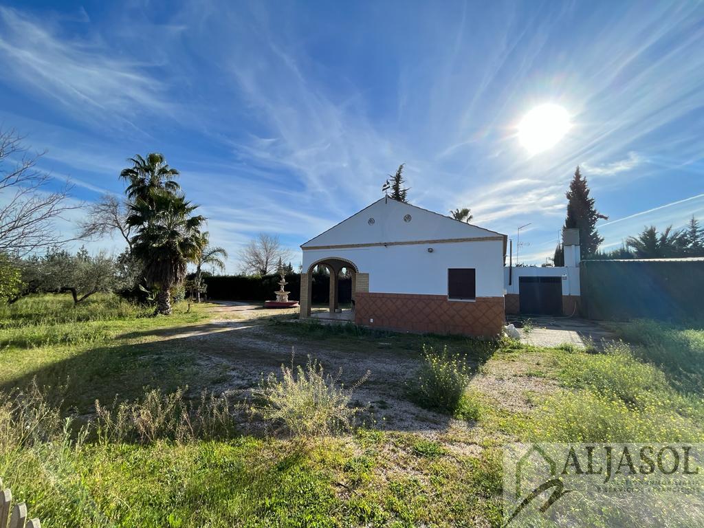 For sale of rural property in Bollullos de la Mitación