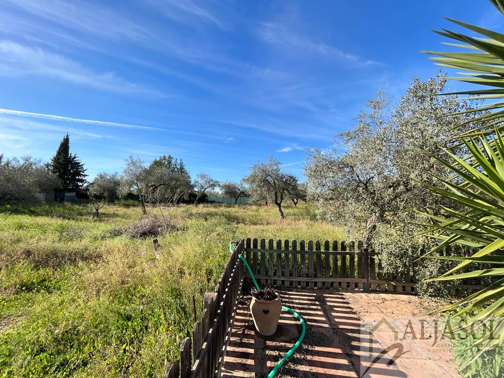 For sale of rural property in Bollullos de la Mitación