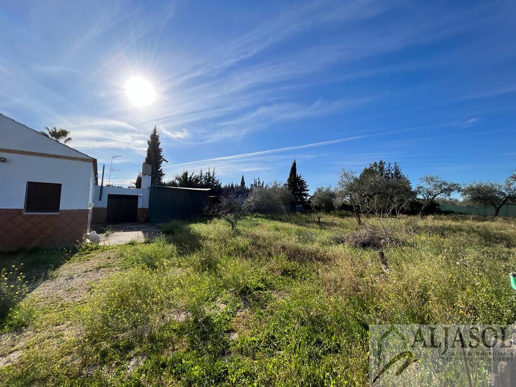 For sale of rural property in Bollullos de la Mitación