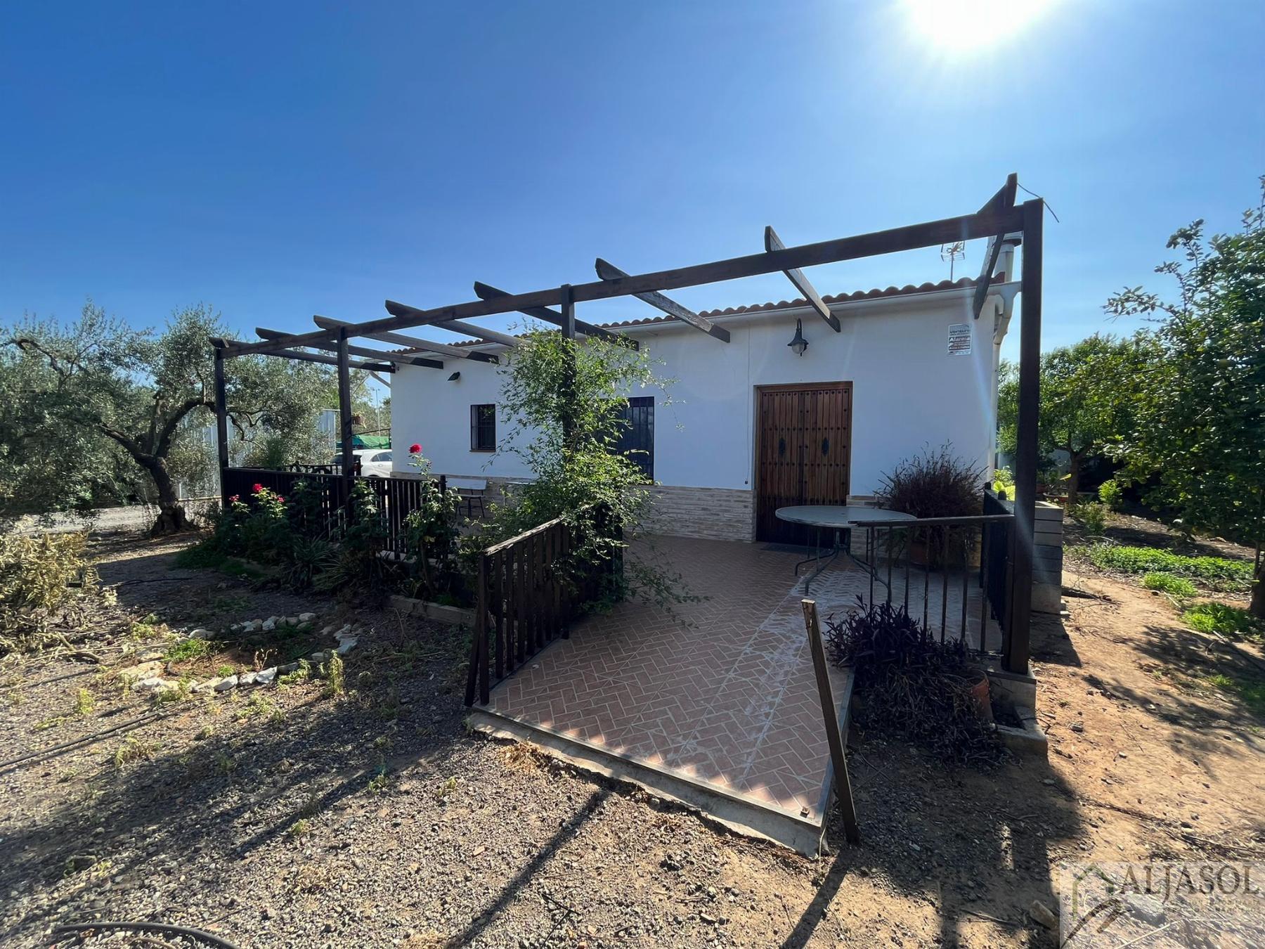 Venta de finca rústica en Umbrete