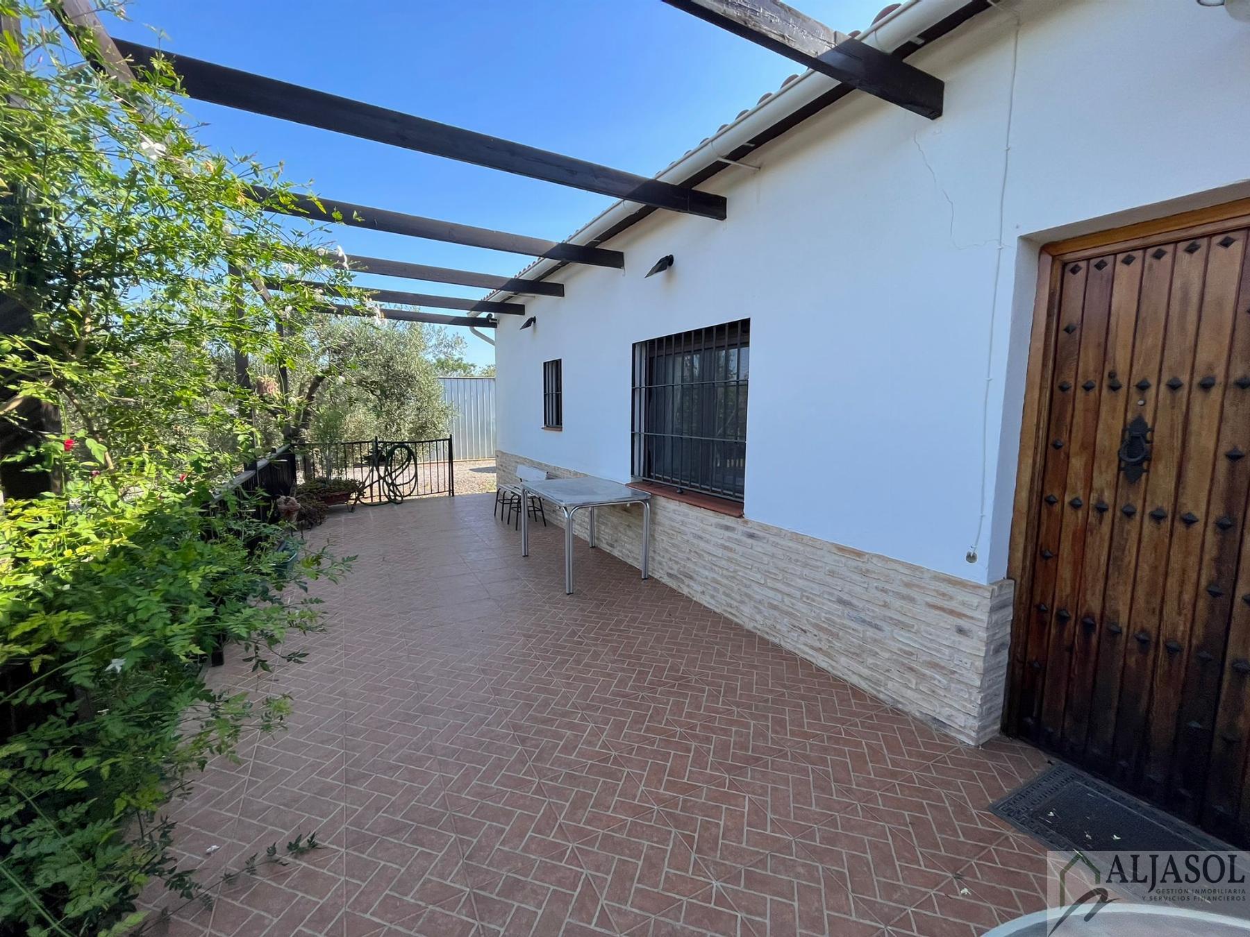 For sale of rural property in Umbrete