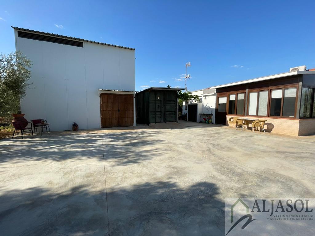 Venta de finca rústica en Umbrete