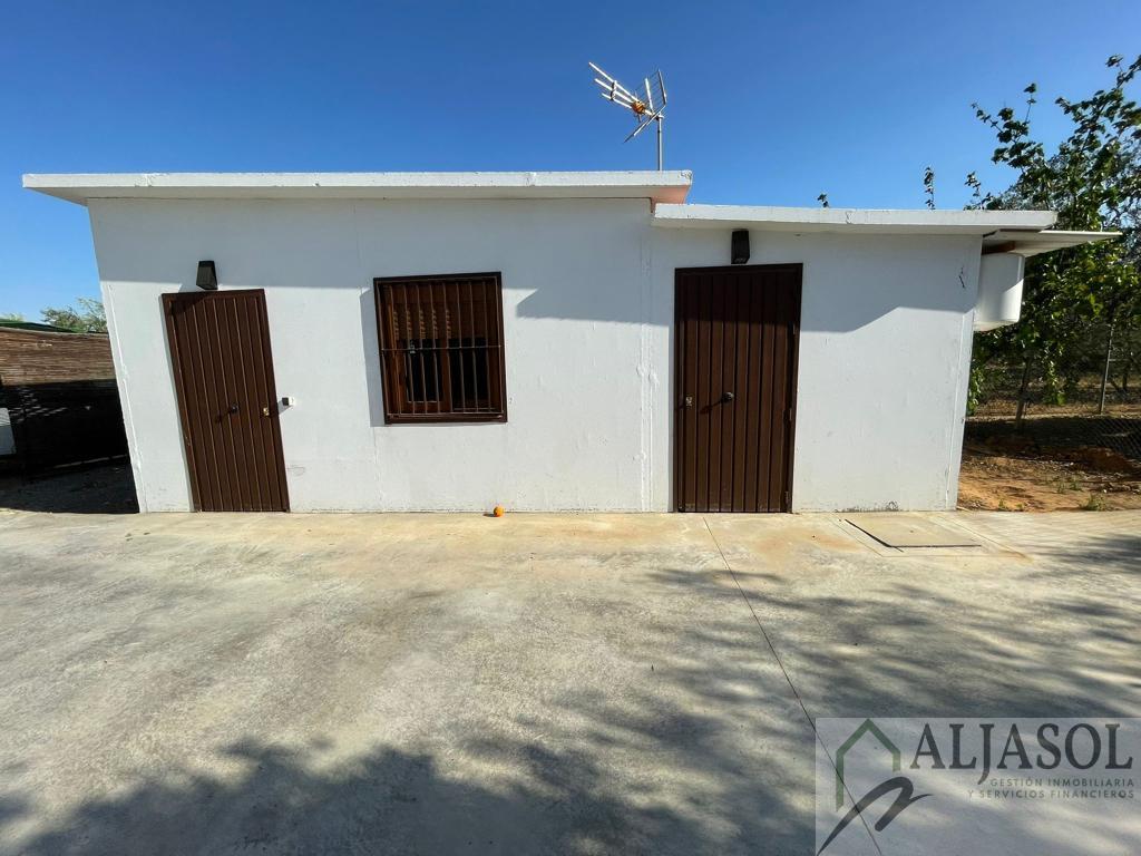 For sale of rural property in Umbrete