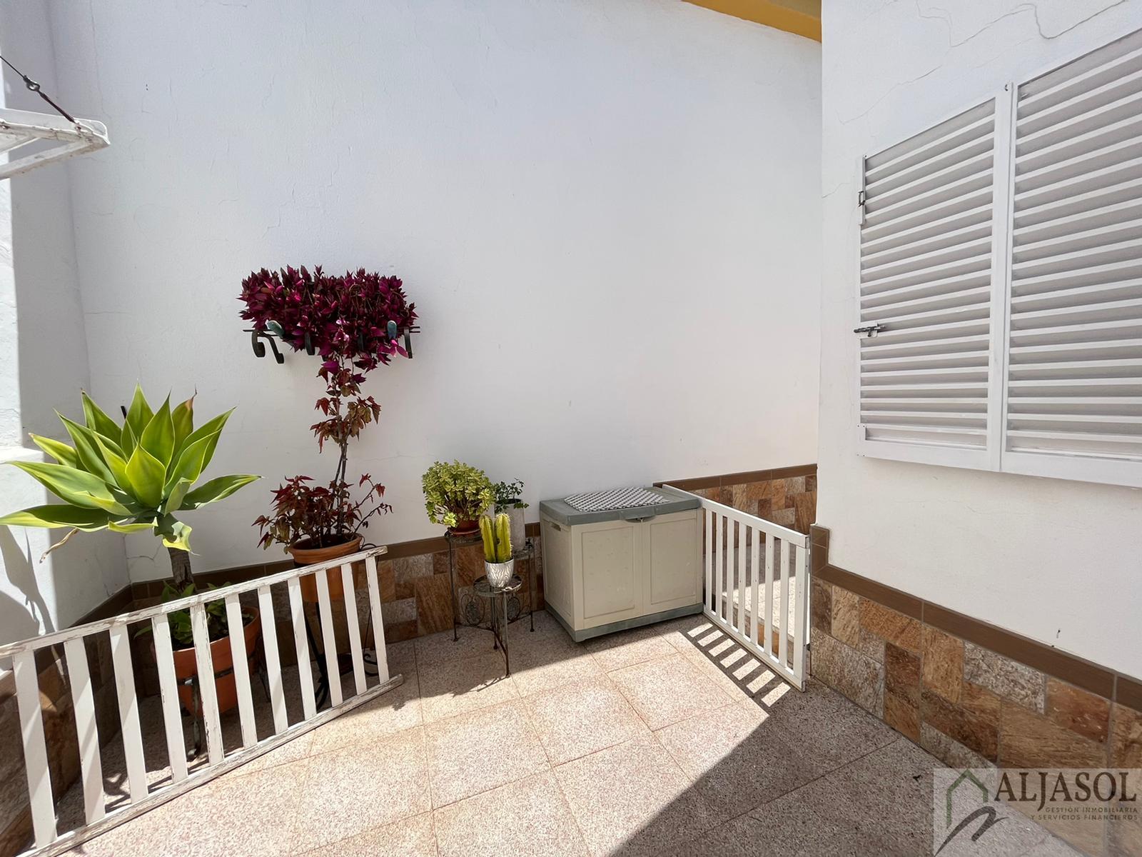 For sale of house in Olivares