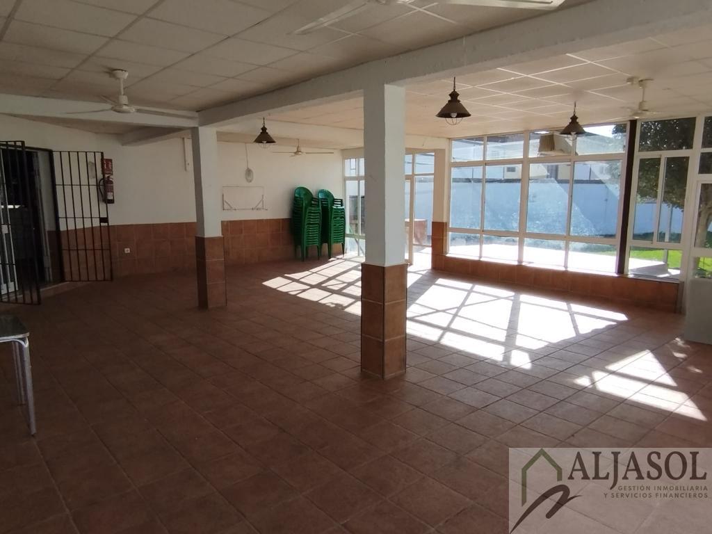 For sale of house in Olivares