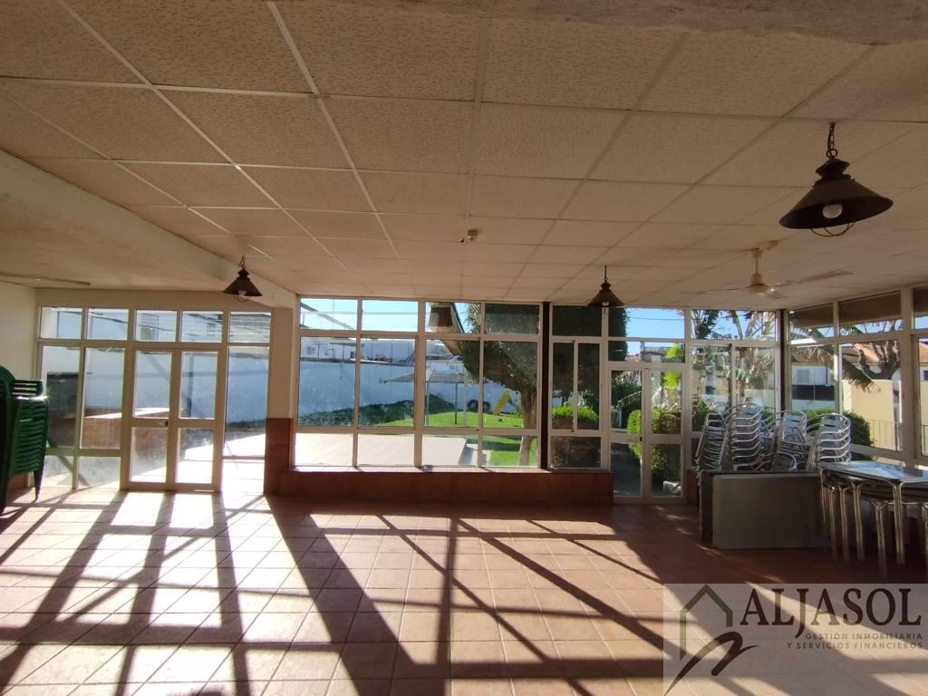 For sale of house in Olivares