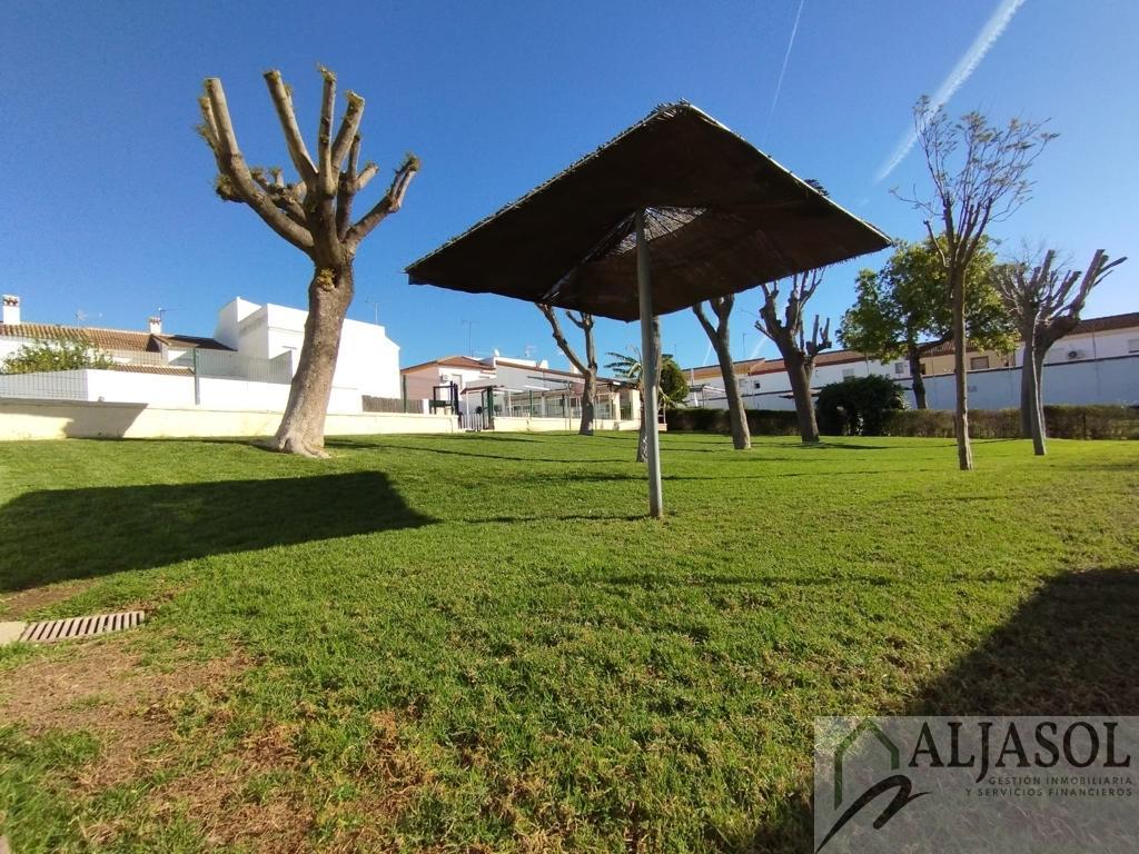 For sale of house in Olivares