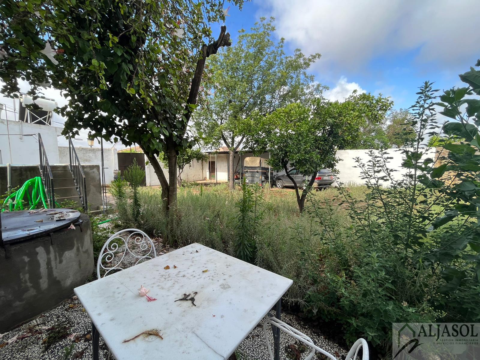 For sale of house in Olivares