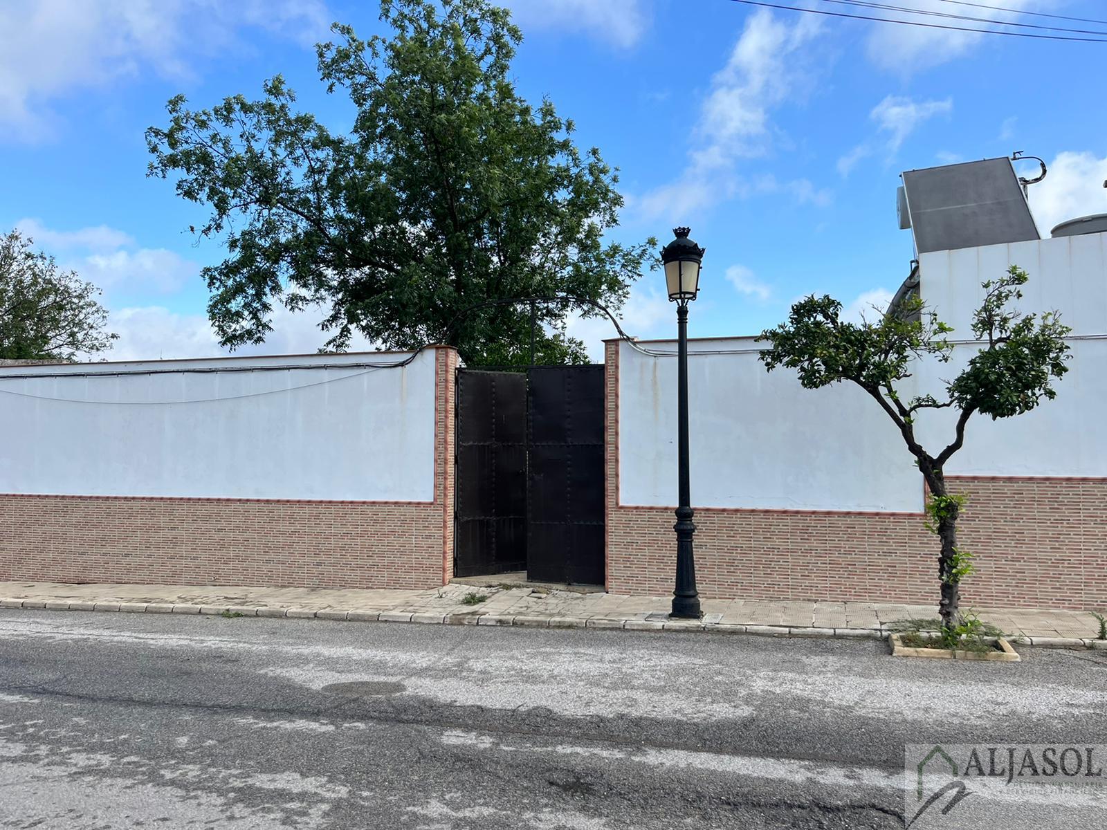 For sale of house in Olivares