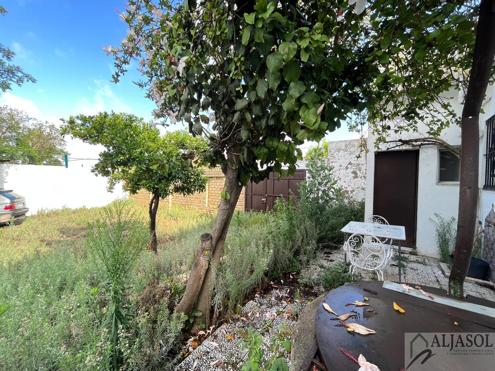 For sale of house in Olivares