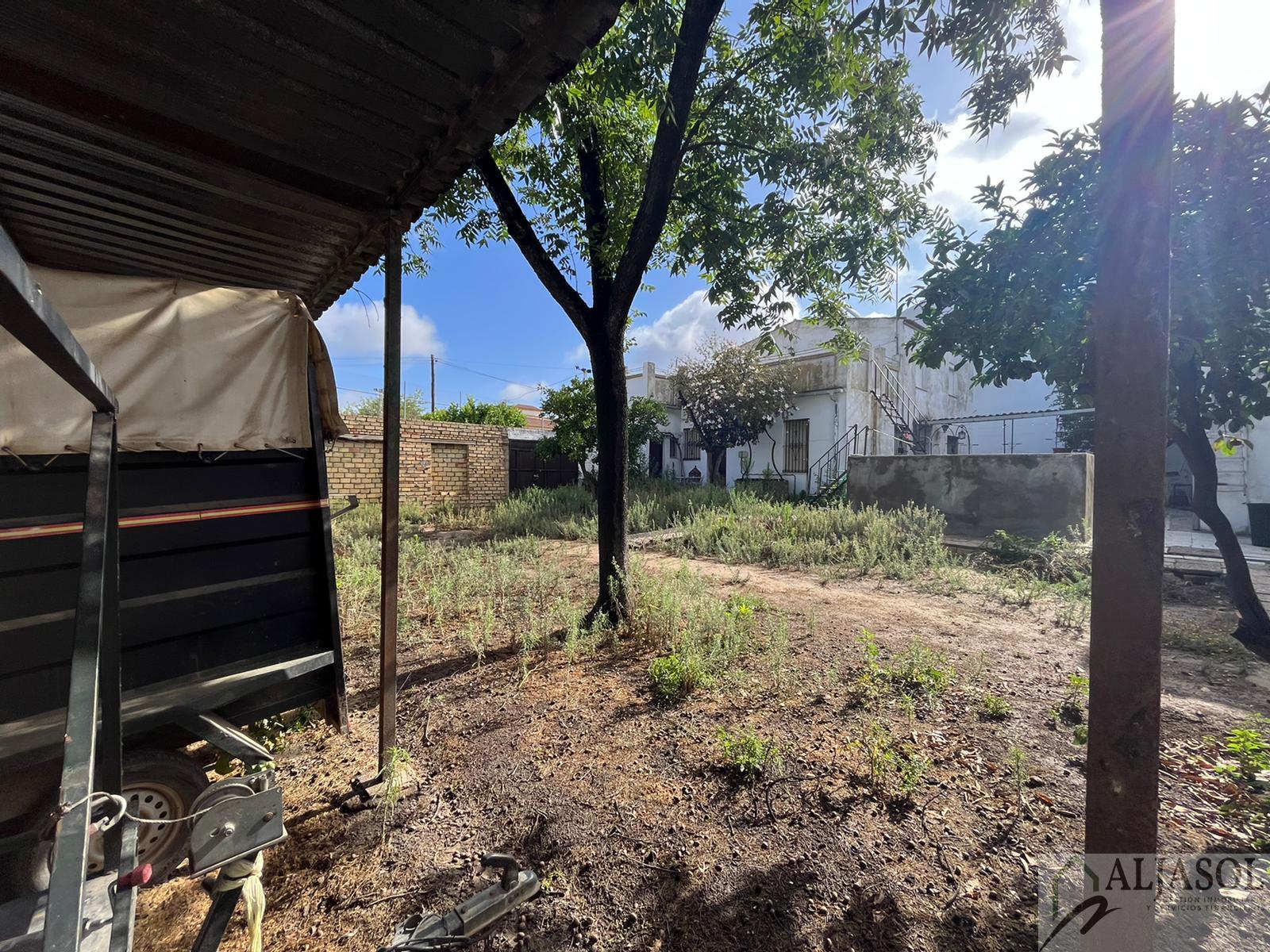 For sale of house in Olivares