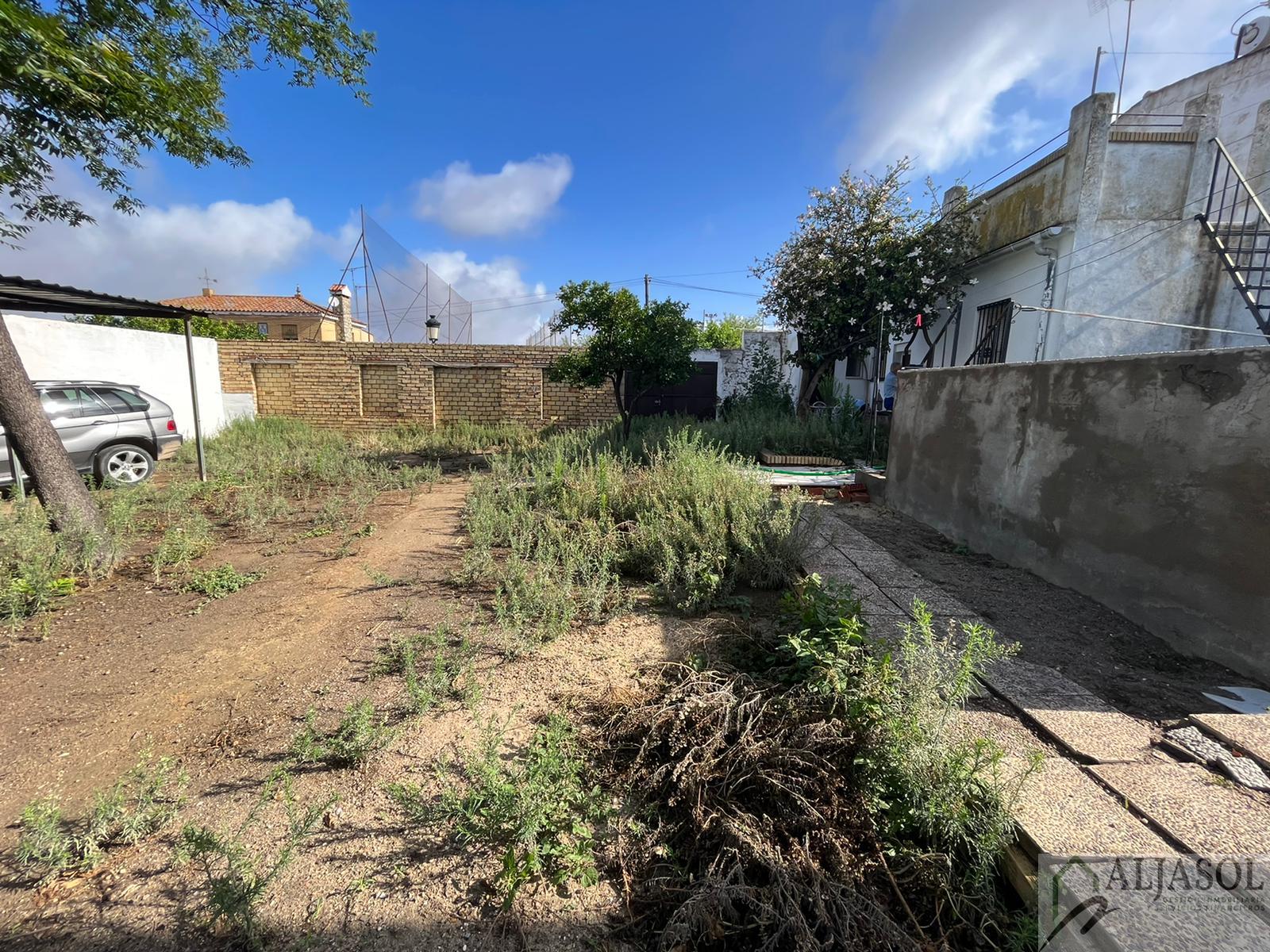 For sale of house in Olivares