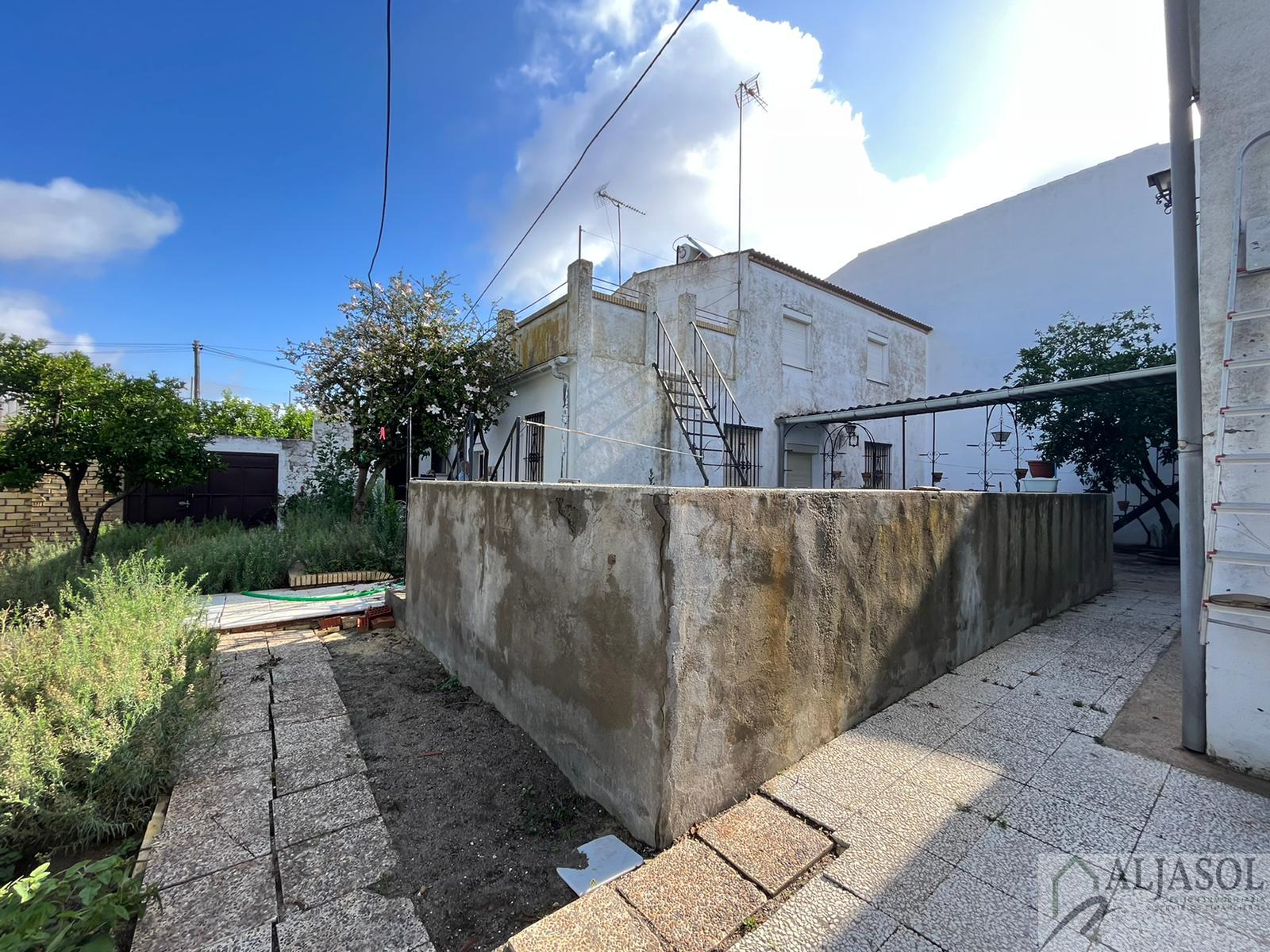 For sale of house in Olivares