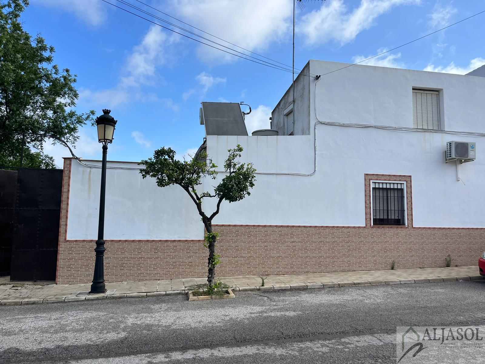 For sale of house in Olivares