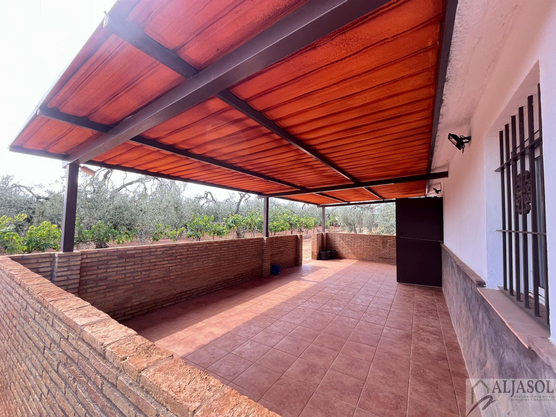 For sale of rural property in Bollullos de la Mitación