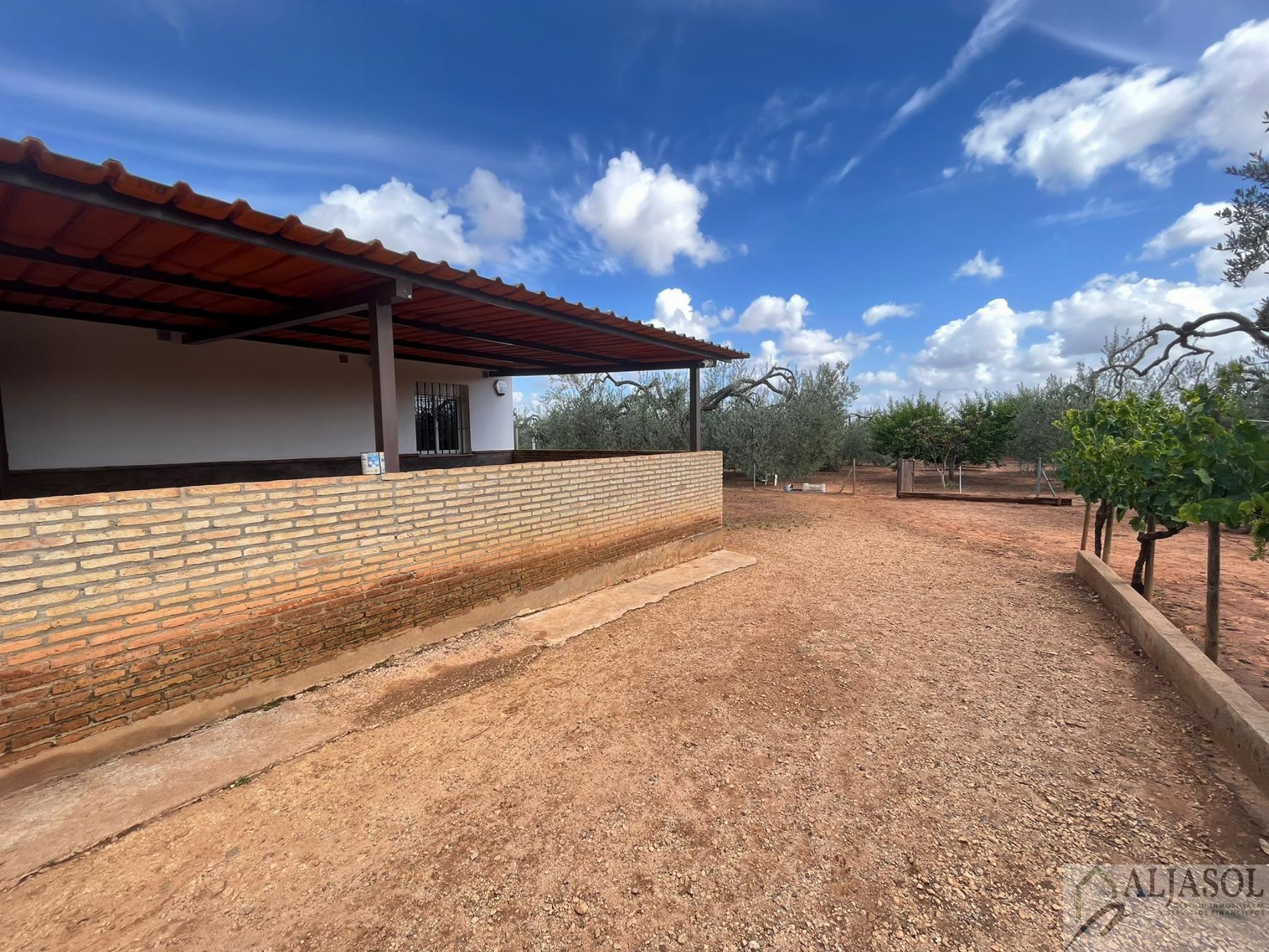 For sale of rural property in Bollullos de la Mitación