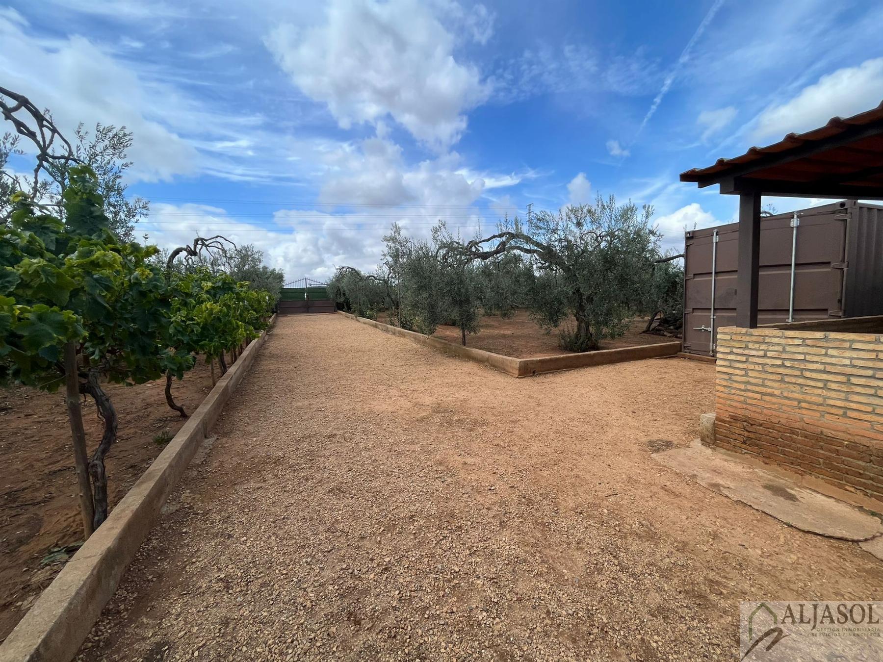 For sale of rural property in Bollullos de la Mitación