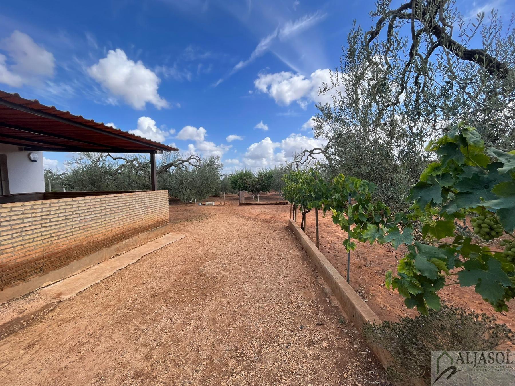 For sale of rural property in Bollullos de la Mitación