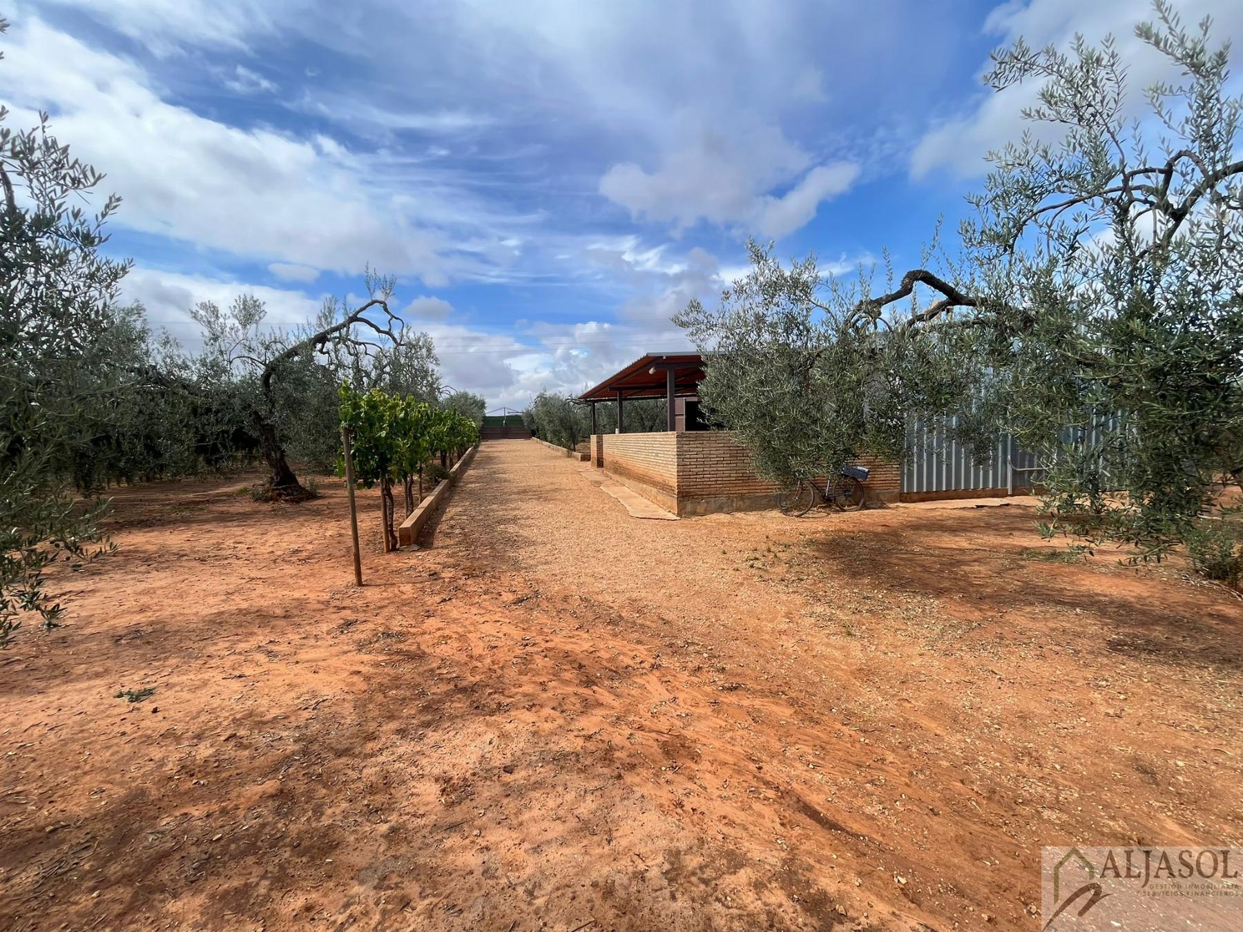 For sale of rural property in Bollullos de la Mitación