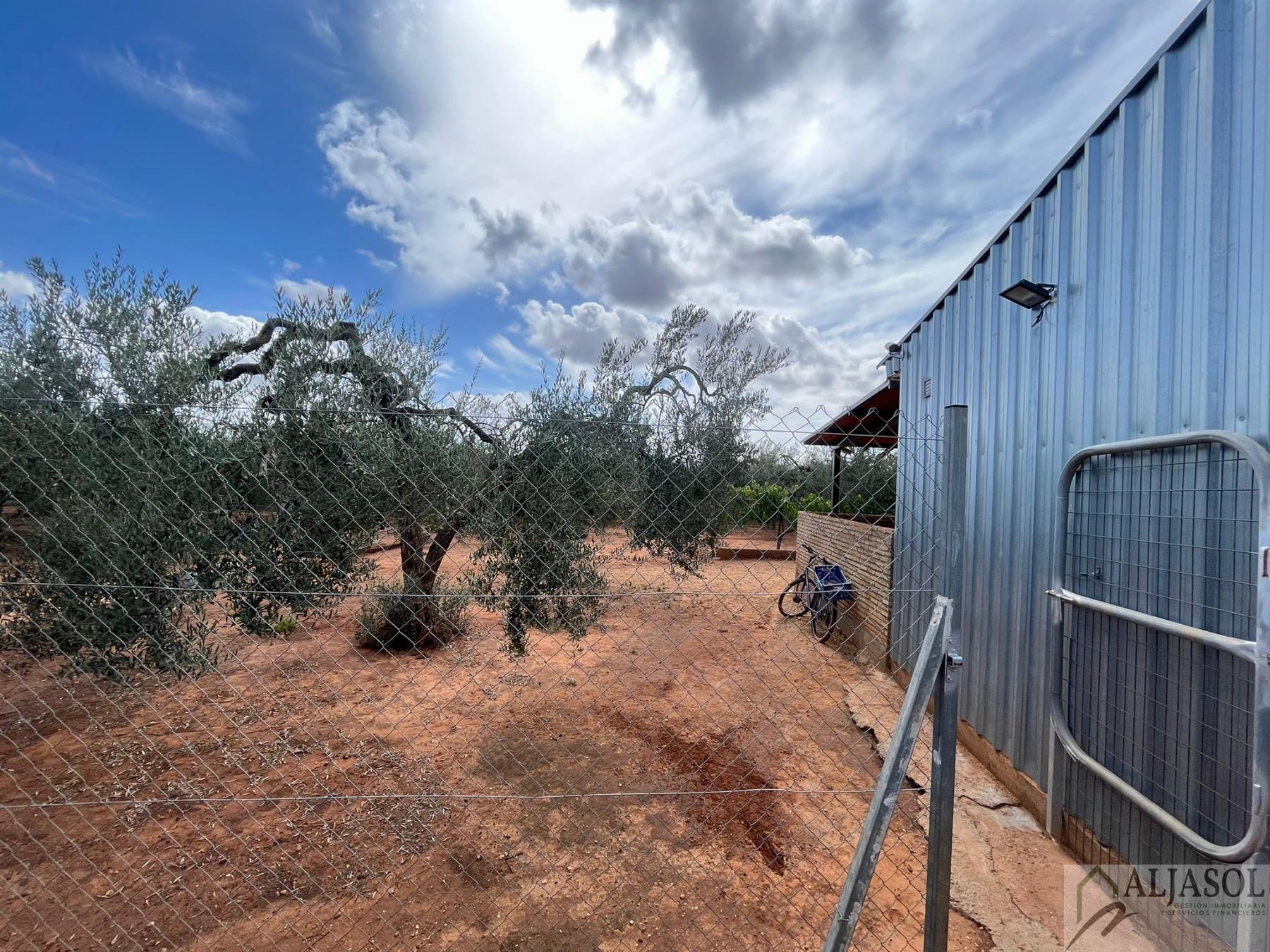 For sale of rural property in Bollullos de la Mitación