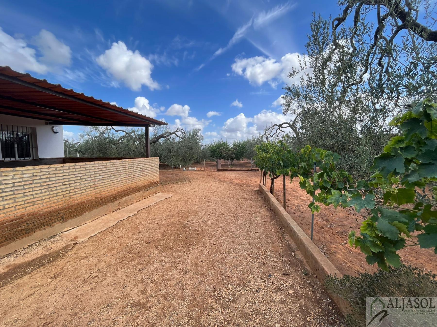 For sale of rural property in Bollullos de la Mitación