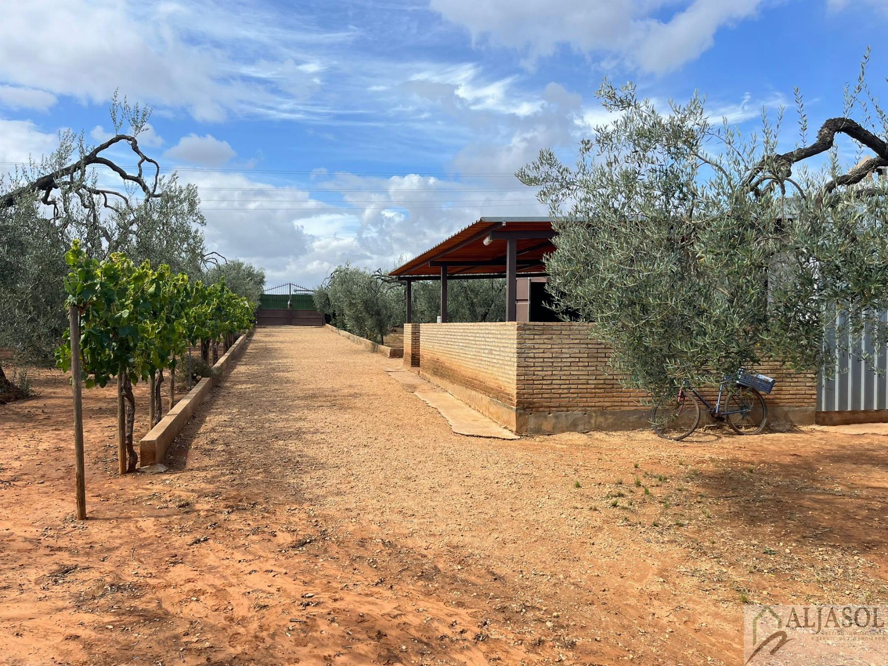 For sale of rural property in Bollullos de la Mitación