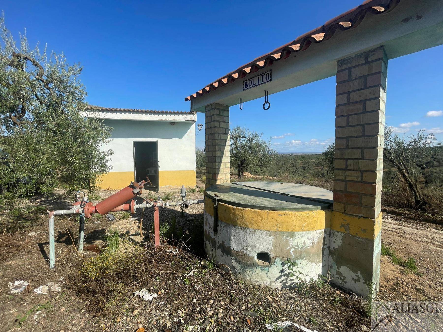 For sale of rural property in Aznalcázar