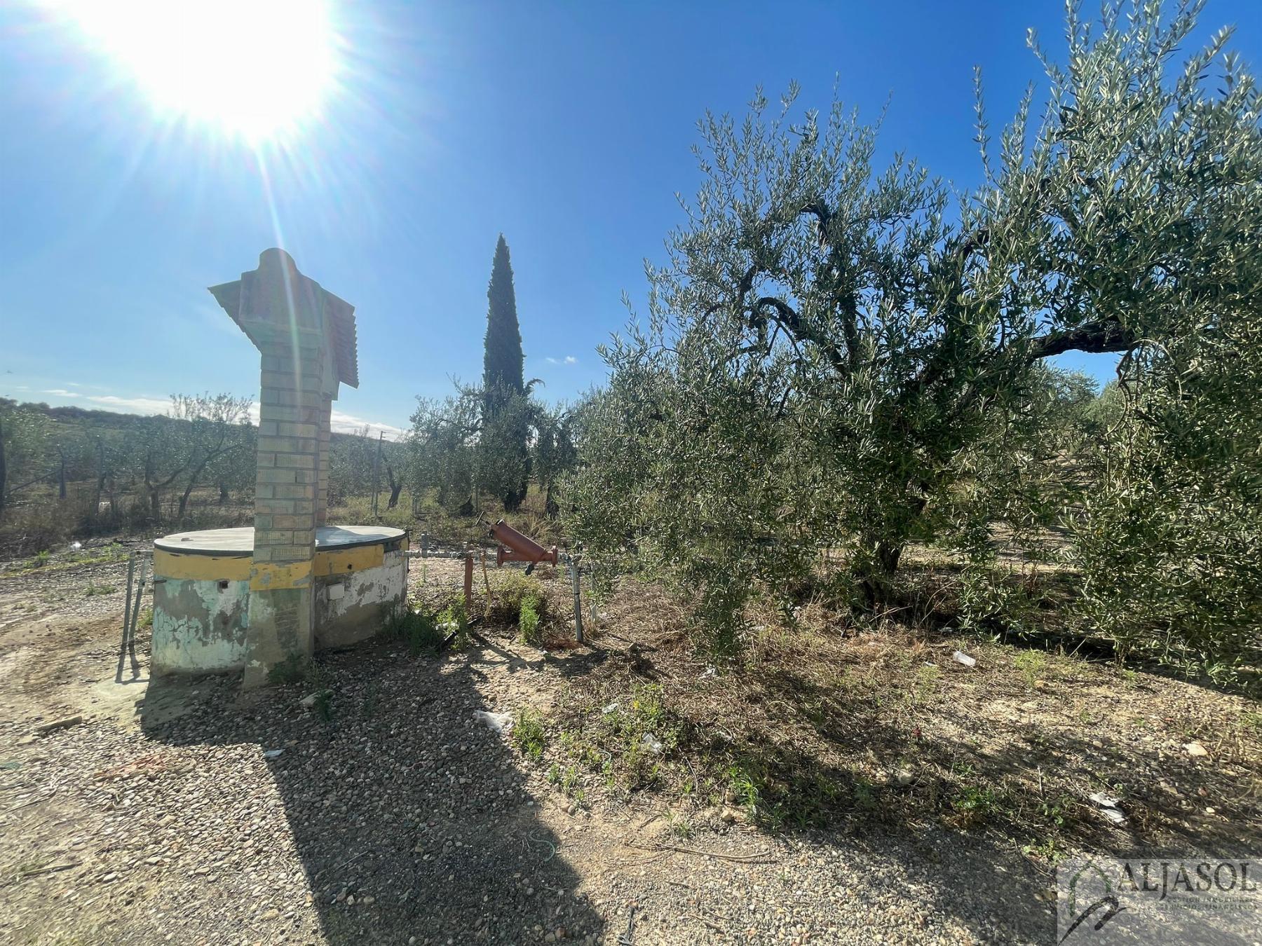 Venta de finca rústica en Aznalcázar