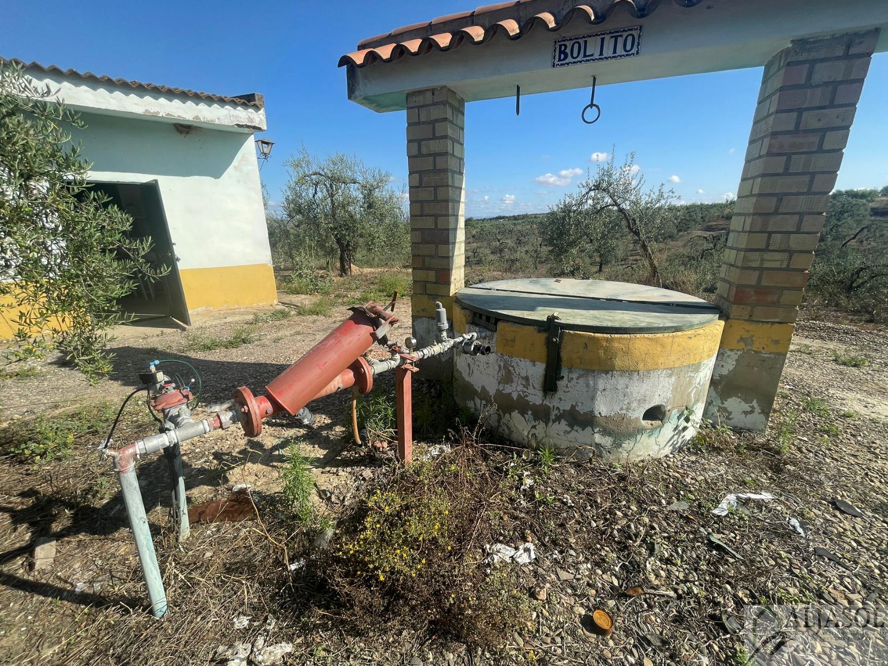 Venta de finca rústica en Aznalcázar