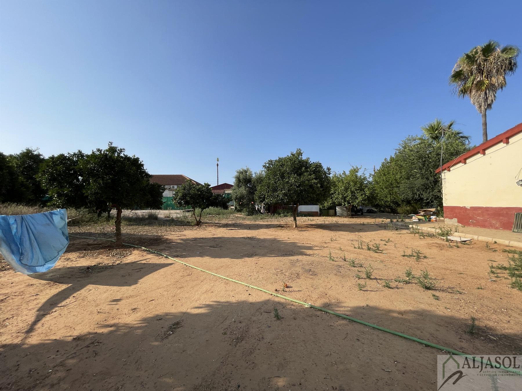 Venta de terreno en Bollullos de la Mitación