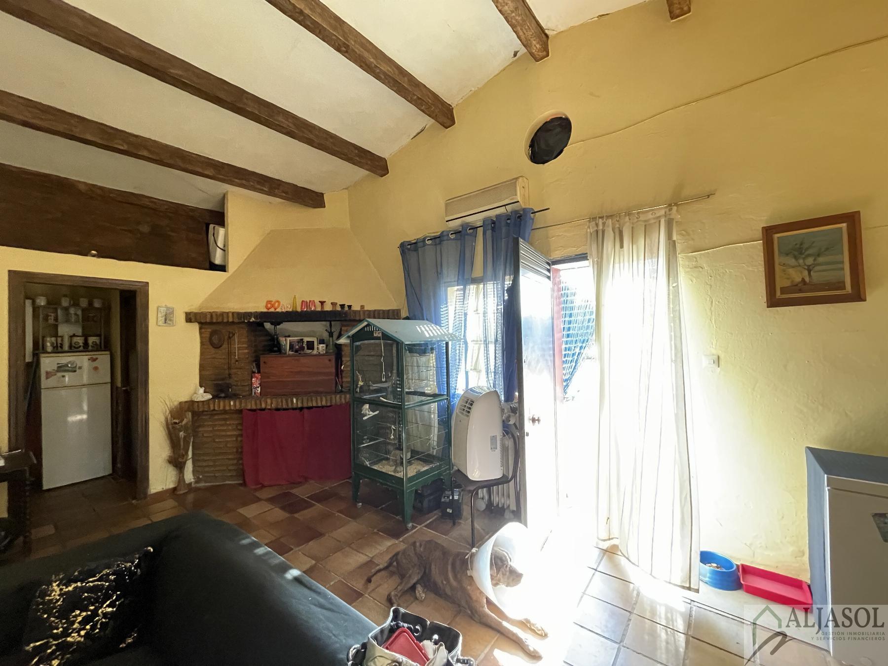 Venta de terreno en Bollullos de la Mitación