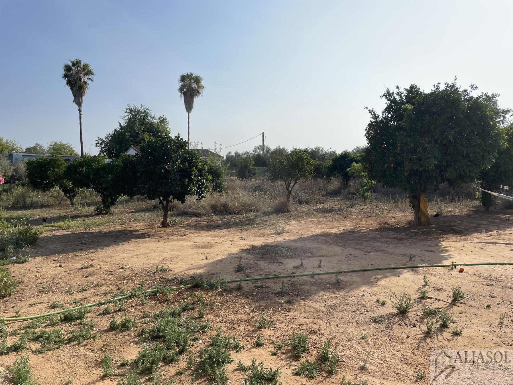 Venta de terreno en Bollullos de la Mitación