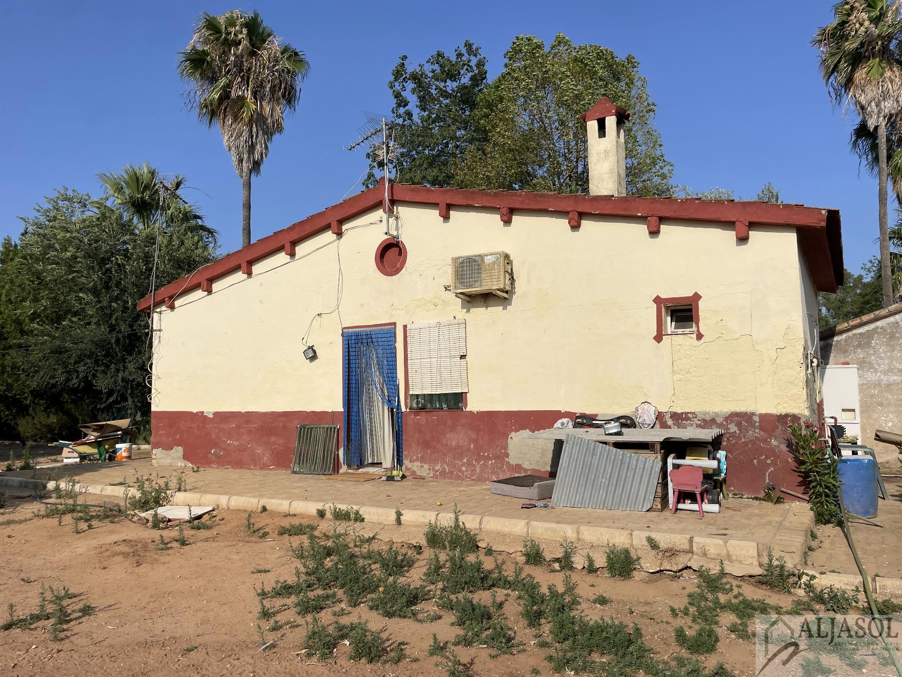 Venta de terreno en Bollullos de la Mitación