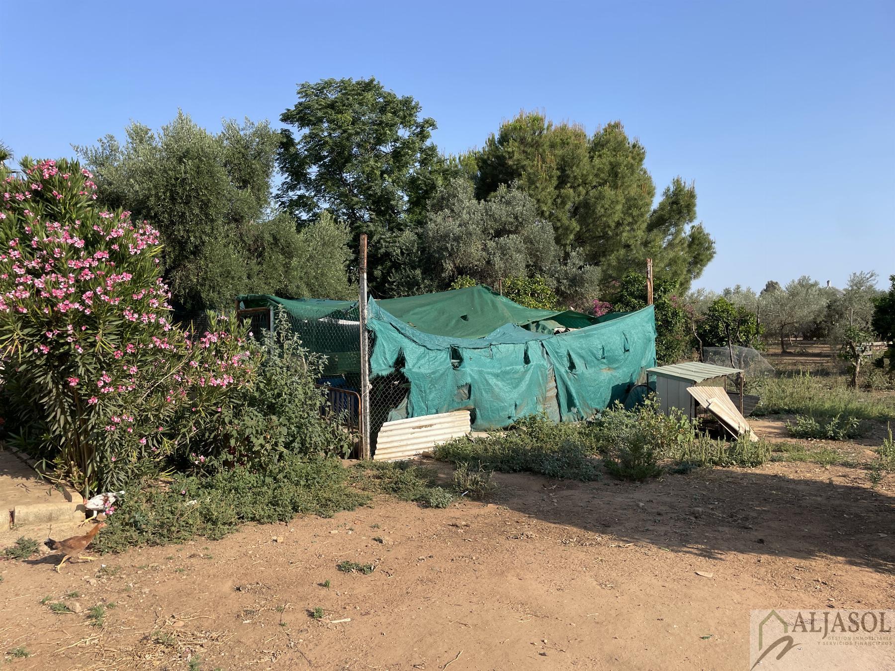 Venta de terreno en Bollullos de la Mitación