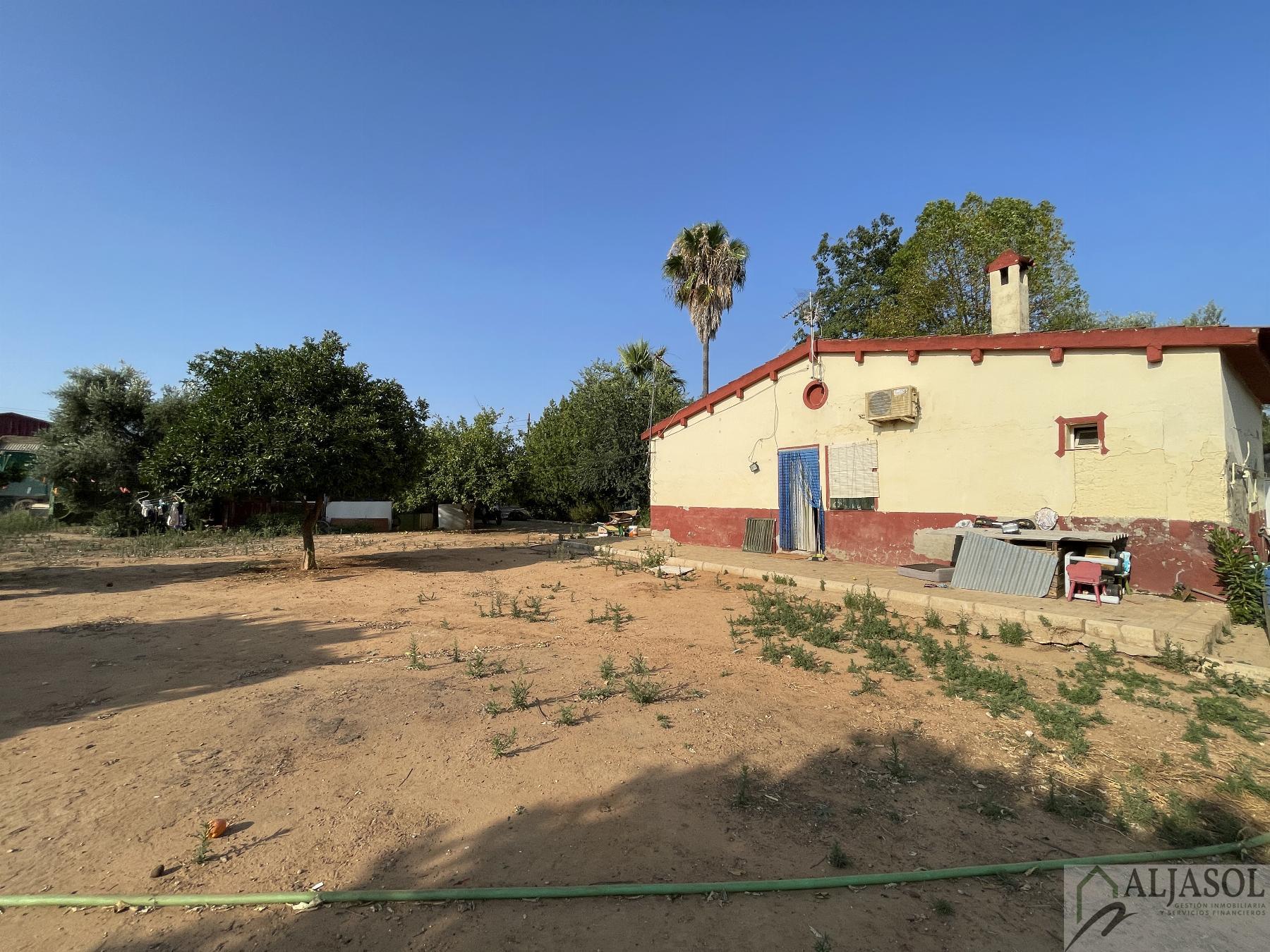 Venta de terreno en Bollullos de la Mitación