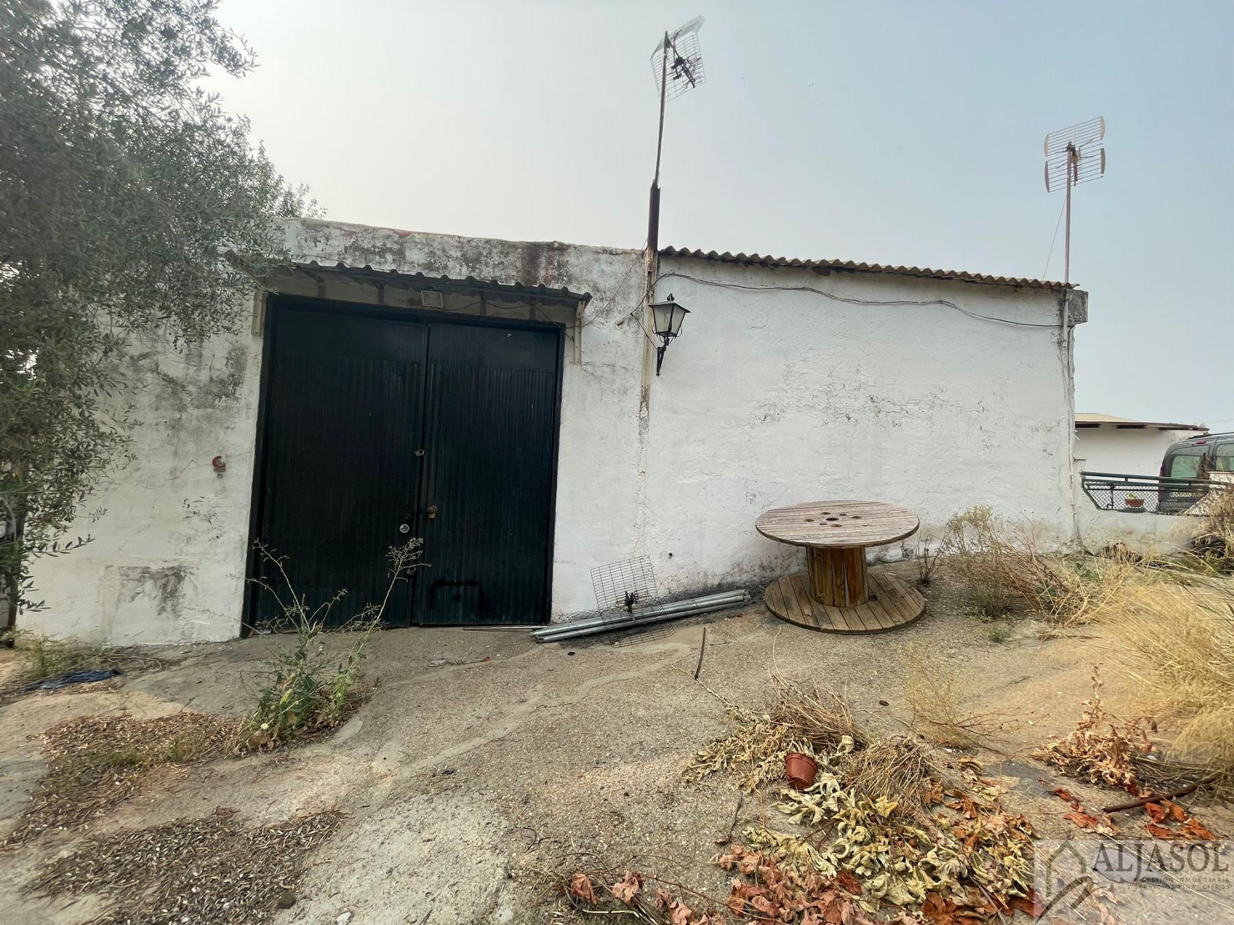 For sale of rural property in Palomares del Río