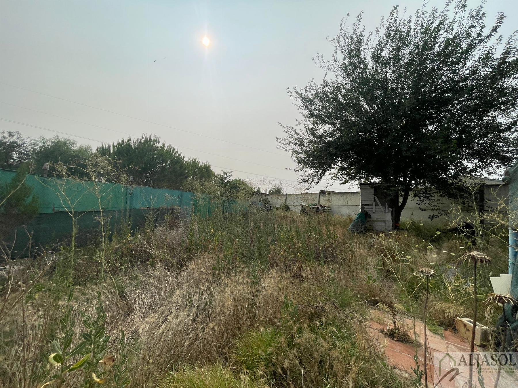 For sale of rural property in Palomares del Río