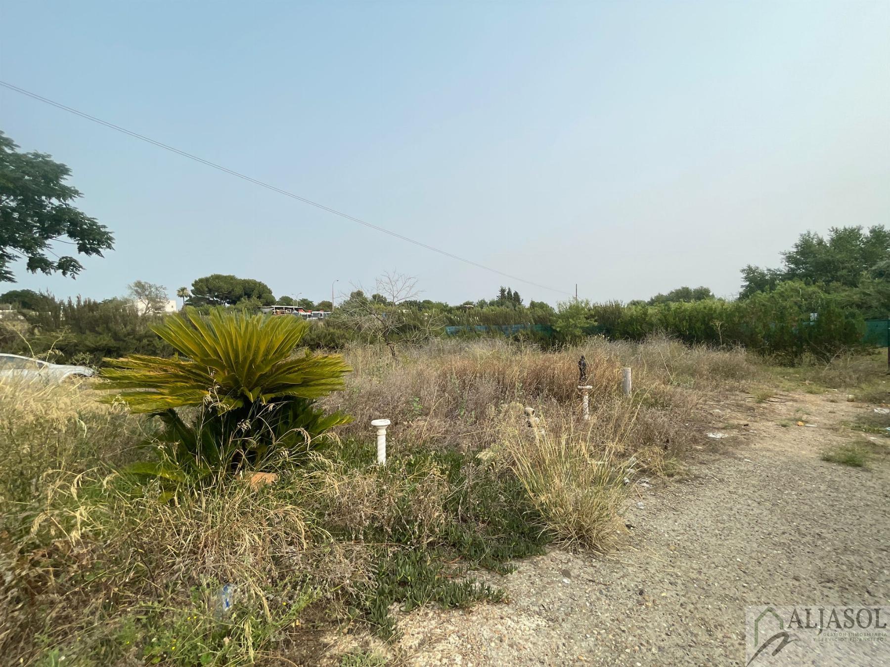 For sale of rural property in Palomares del Río
