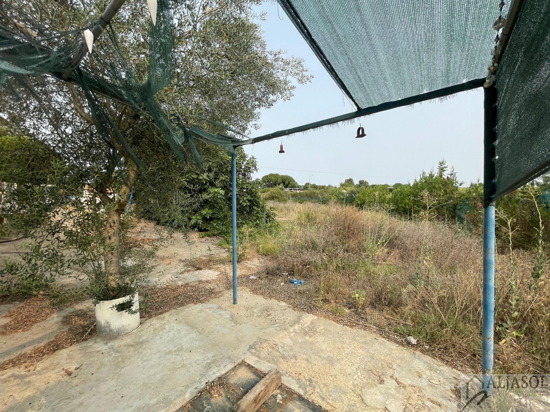 For sale of rural property in Palomares del Río