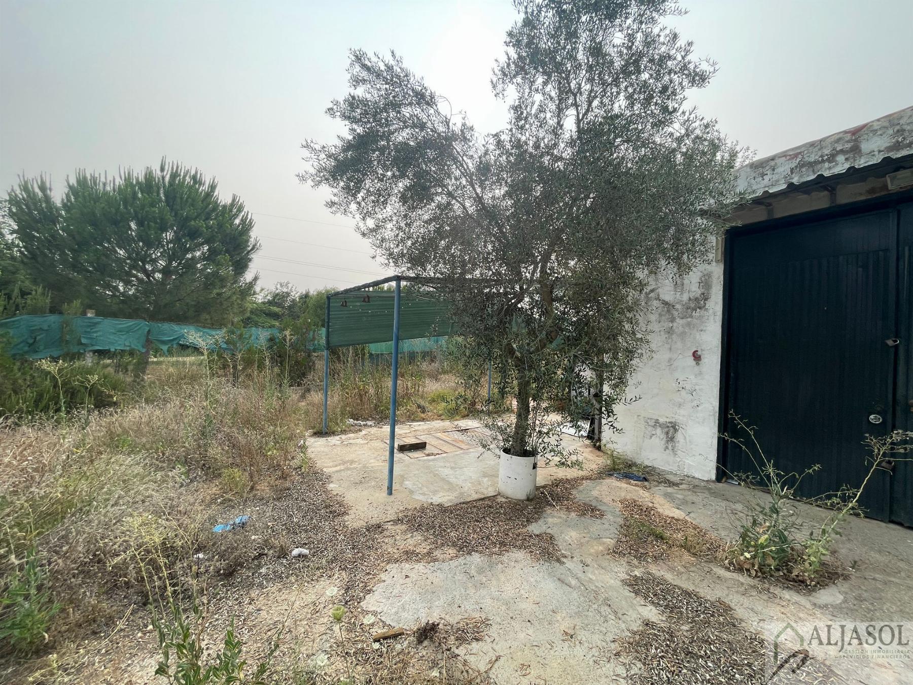 For sale of rural property in Palomares del Río
