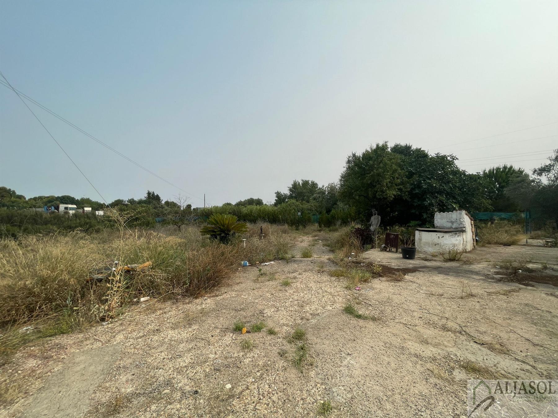 For sale of rural property in Palomares del Río