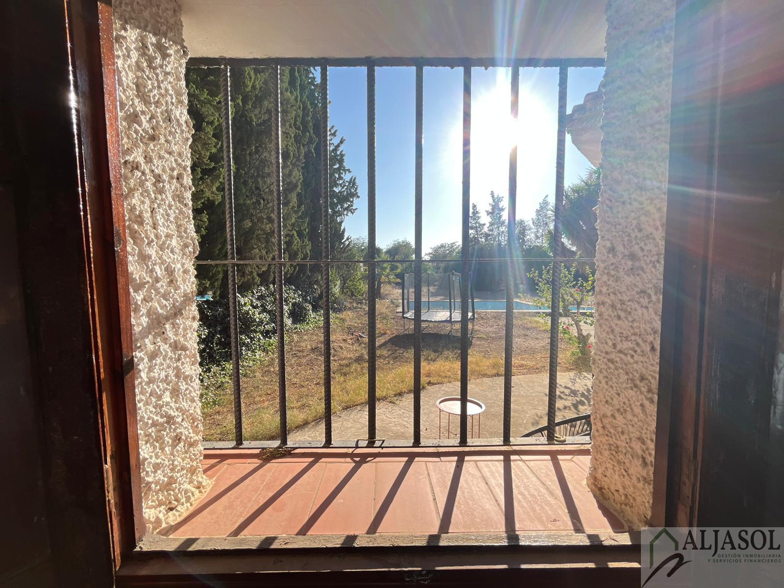 Venta de chalet en Palomares del Río