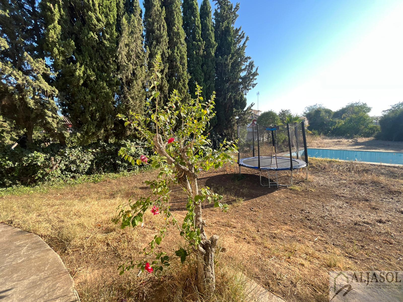Venta de chalet en Palomares del Río