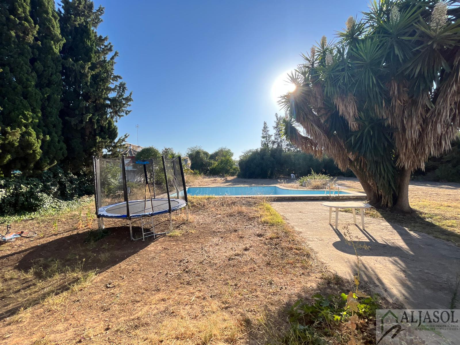 Venta de chalet en Palomares del Río