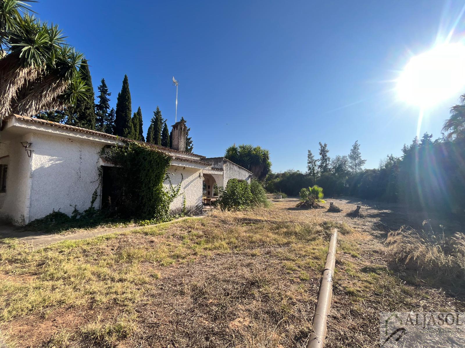 Venta de chalet en Palomares del Río